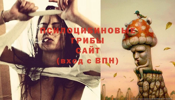амф Нея