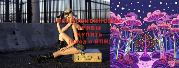 бошки Армянск