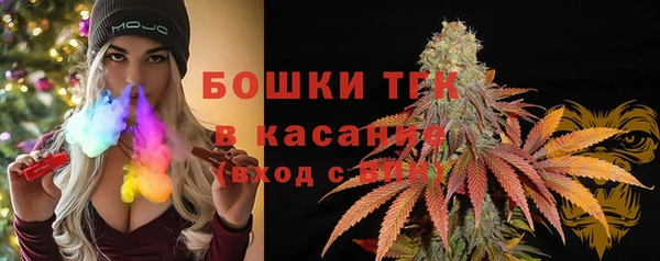 тгк Арсеньев